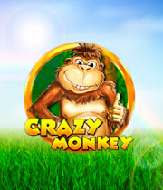 Crazy Monkey